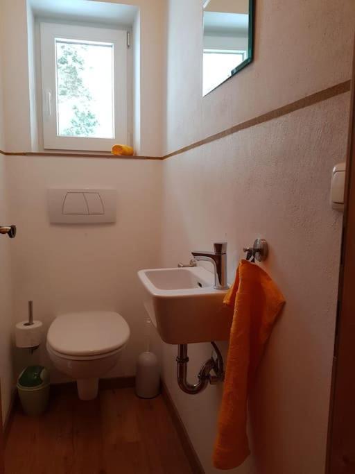 Gemuetliche Wohnung Mit Blick Auf Den Zahmen Kaiser Niederndorferberg Kültér fotó