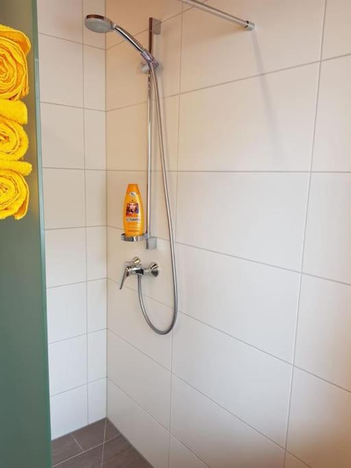 Gemuetliche Wohnung Mit Blick Auf Den Zahmen Kaiser Niederndorferberg Kültér fotó
